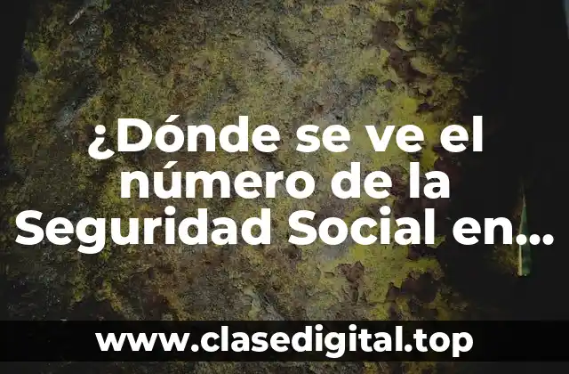 ¿Dónde se ve el número de la Seguridad Social en una tarjeta de crédito?