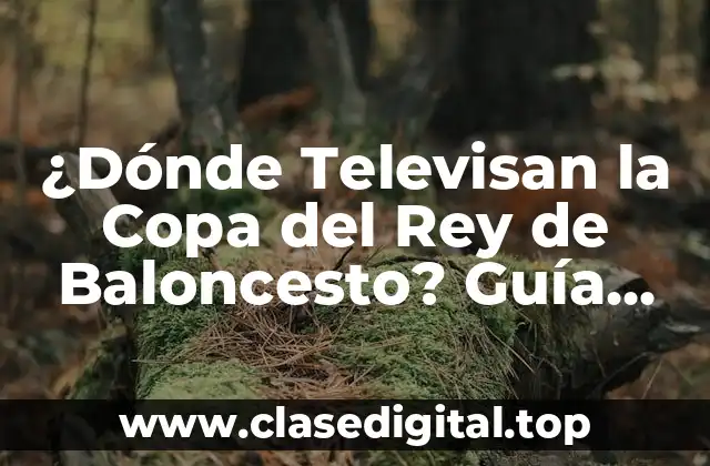 ¿Dónde Televisan la Copa del Rey de Baloncesto? Guía Completa de Canales y Horarios