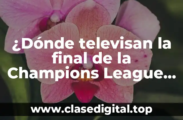 ¿Dónde televisan la final de la Champions League en vivo?