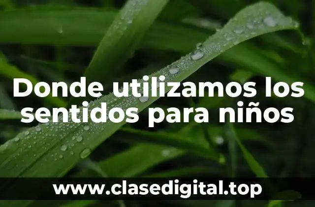 Donde utilizamos los sentidos para niños