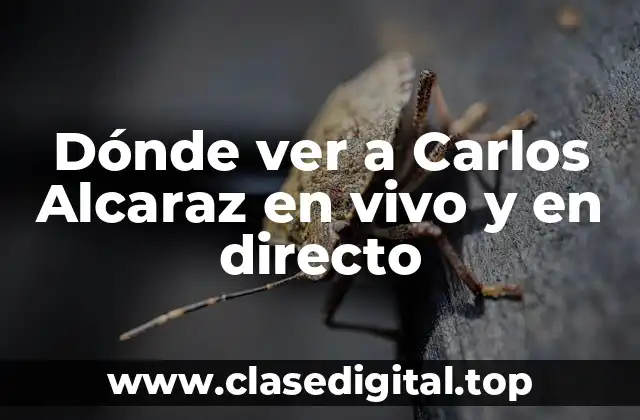 Dónde ver a Carlos Alcaraz en vivo y en directo