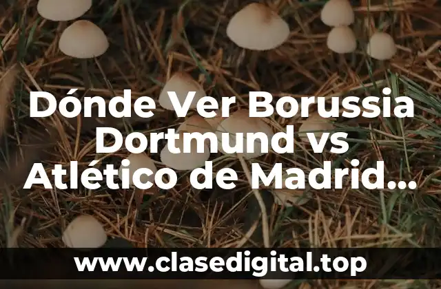 Dónde Ver Borussia Dortmund vs Atlético de Madrid en Vivo y en Directo