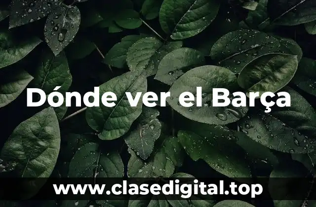 Ver el partido en vivo en el estadio