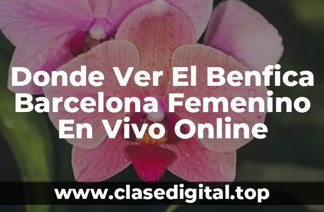 Donde Ver El Benfica Barcelona Femenino En Vivo Online