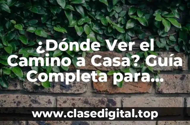 ¿Dónde Ver el Camino a Casa? Guía Completa para Encontrar tu Rumbo