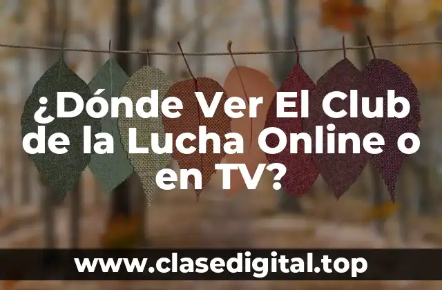 ¿Dónde Ver El Club de la Lucha Online o en TV?