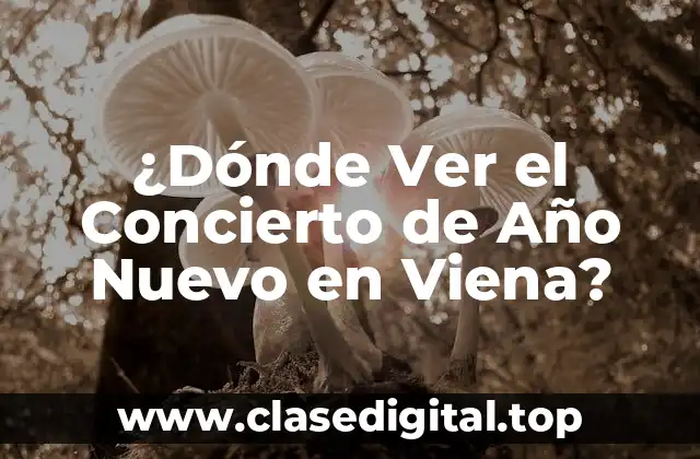 Historia del Concierto de Año Nuevo en Viena