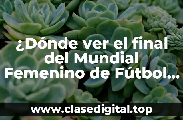 Transmisión televisiva del Mundial Femenino de Fútbol