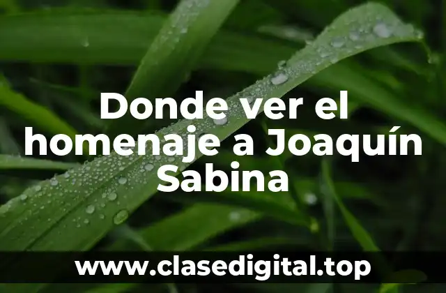Donde ver el homenaje a Joaquín Sabina