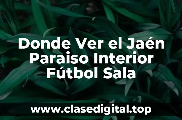 Historia del Jaén Paraiso Interior Fútbol Sala