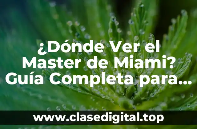 ¿Dónde Ver el Master de Miami? Guía Completa para Disfrutar del Tenis de Élite
