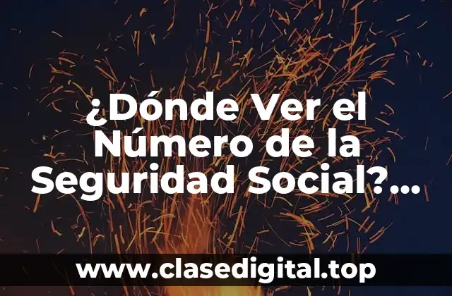 ¿Qué es el Número de la Seguridad Social?