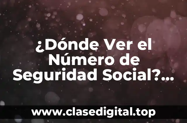 ¿Dónde Ver el Número de Seguridad Social? Guía Completa y Segura