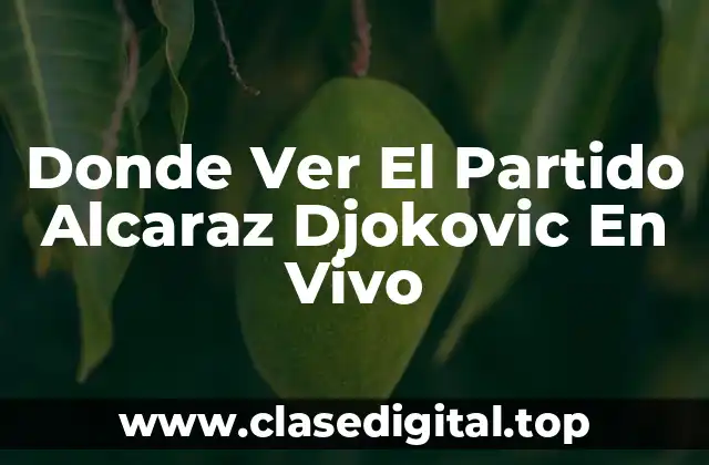 ¿Cuándo y Dónde Se Jugará el Partido Alcaraz Djokovic?