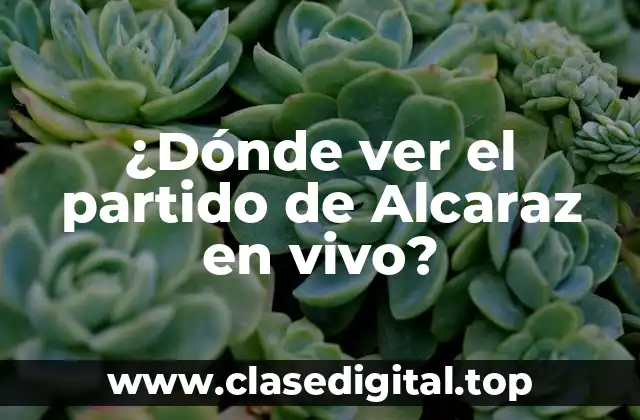 ¿Dónde ver el partido de Alcaraz en vivo?