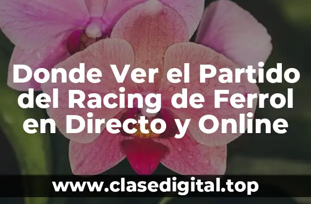 Donde Ver el Partido del Racing de Ferrol en Directo y Online