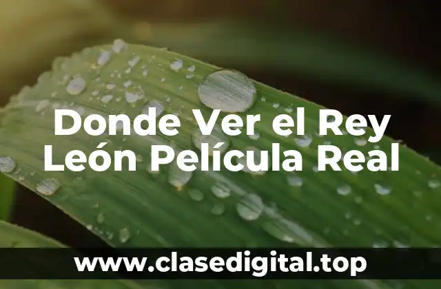 Donde Ver el Rey León Película Real