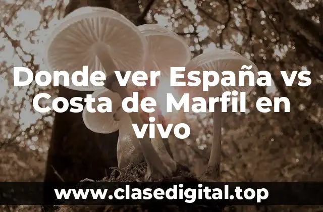 Donde ver España vs Costa de Marfil en vivo