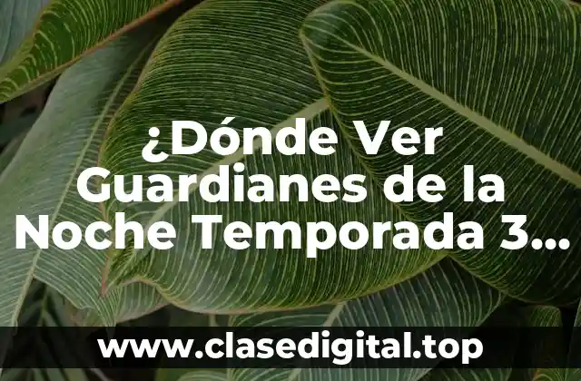 ¿Dónde Ver Guardianes de la Noche Temporada 3 Online?