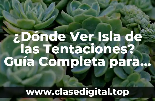 ¿Dónde Ver Isla de las Tentaciones? Guía Completa para Encontrar tu Programa Favorito