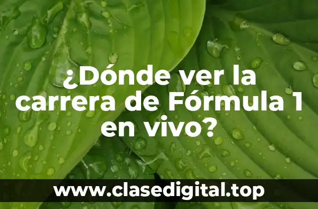 Canales de Televisión que Transmiten la Fórmula 1
