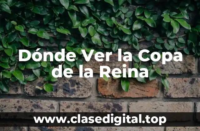 Dónde Ver la Copa de la Reina