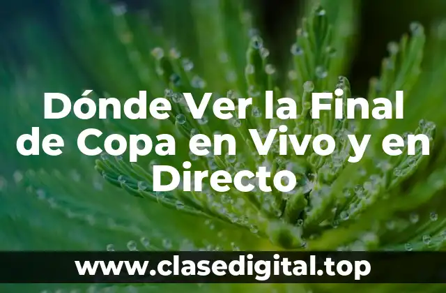 Dónde Ver la Final de Copa en Vivo y en Directo
