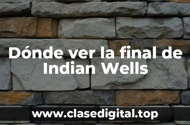 Dónde ver la final de Indian Wells