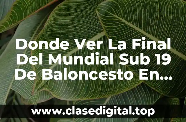 Canales de Televisión que Emiten la Final del Mundial Sub 19 de Baloncesto