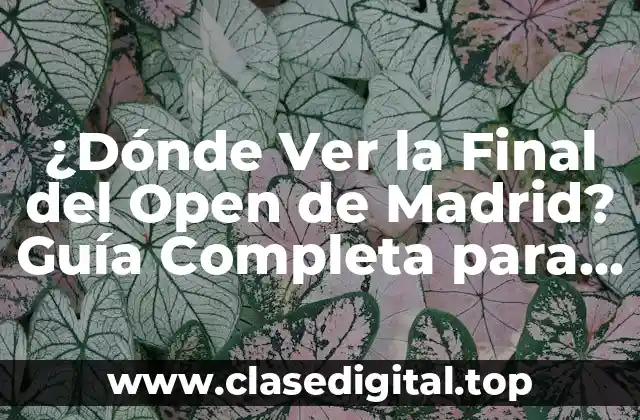 ¿Dónde Ver la Final del Open de Madrid? Guía Completa para Seguir el Torneo de Tenis