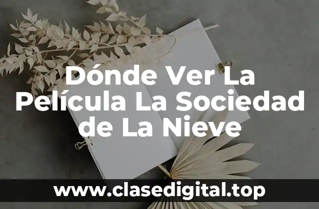 Dónde Ver La Película La Sociedad de La Nieve