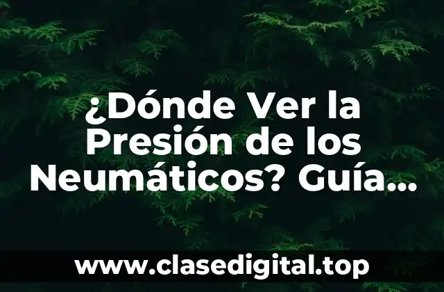 ¿Por qué es Importante la Presión de los Neumáticos?