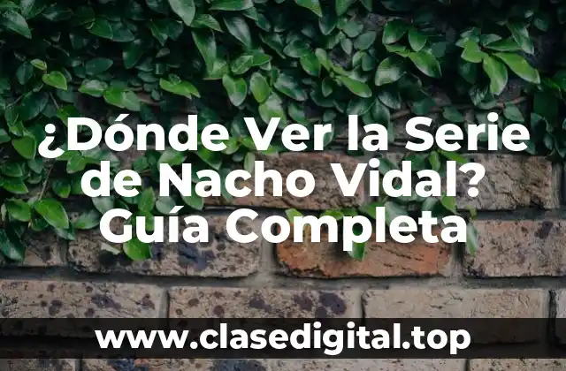 ¿Dónde Ver la Serie de Nacho Vidal? Guía Completa