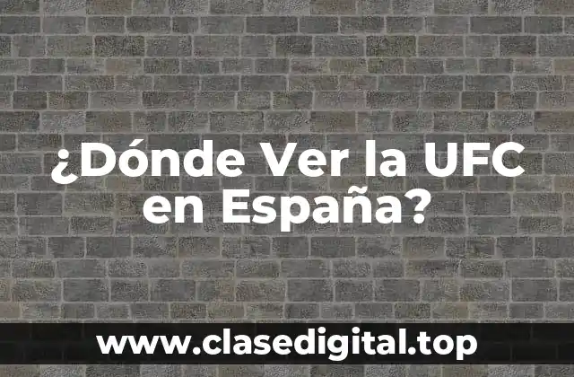 ¿Dónde Ver la UFC en España?