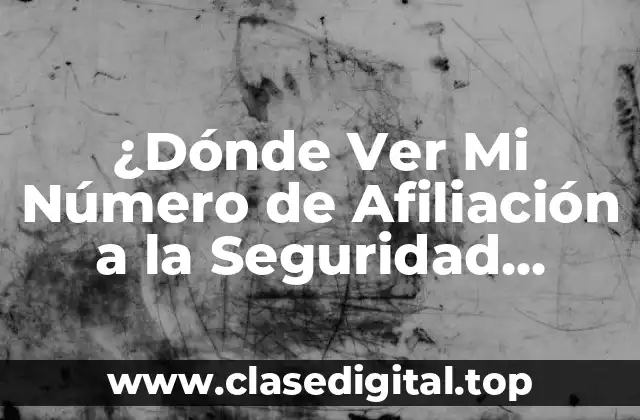 ¿Dónde Ver Mi Número de Afiliación a la Seguridad Social?