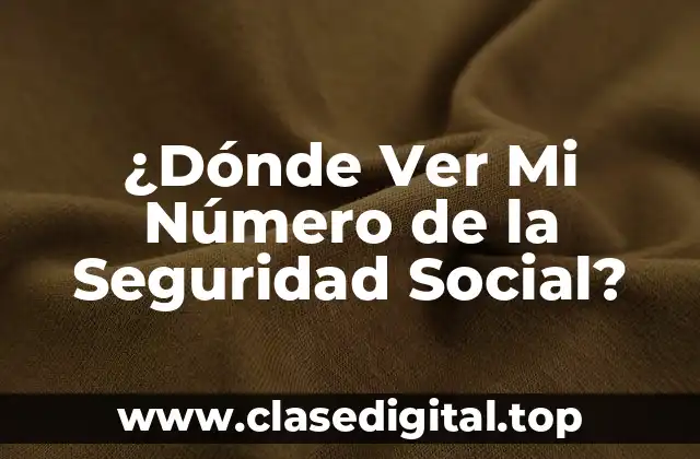 ¿Dónde Ver Mi Número de la Seguridad Social?
