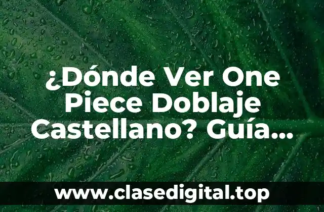 ¿Dónde Ver One Piece Doblaje Castellano? Guía Completa