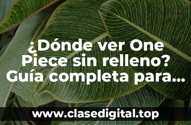 ¿Dónde ver One Piece sin relleno? Guía completa para disfrutar de la serie