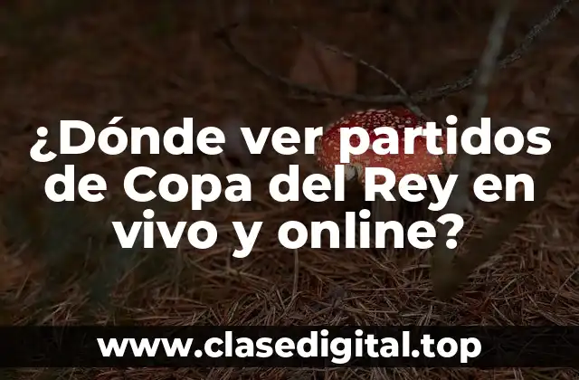 ¿Dónde ver partidos de Copa del Rey en vivo y online?