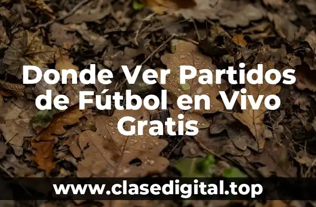 Donde Ver Partidos de Fútbol en Vivo Gratis