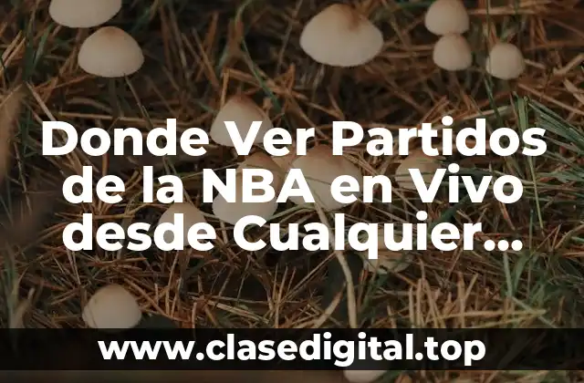 Donde Ver Partidos de la NBA en Vivo desde Cualquier Lugar del Mundo