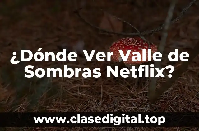 ¿Dónde Ver Valle de Sombras en Netflix? - Disponibilidad en Diferentes Países
