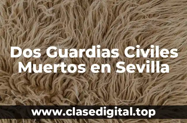 Dos Guardias Civiles Muertos en Sevilla