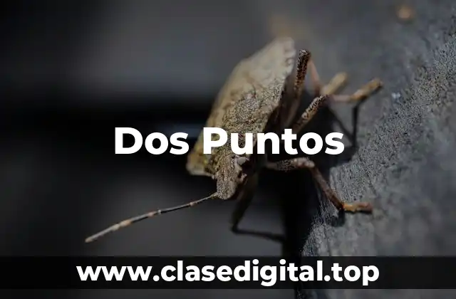 Ejemplos de Dos Puntos