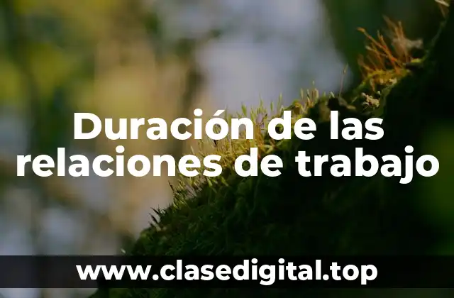 Duración de las relaciones de trabajo