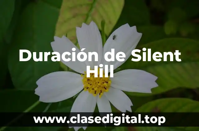 Duración de Silent Hill