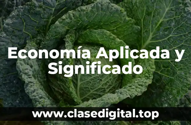 Ejemplos de Economía Aplicada