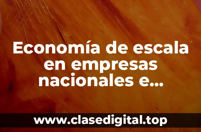 Economía de escala en empresas nacionales e internacionales