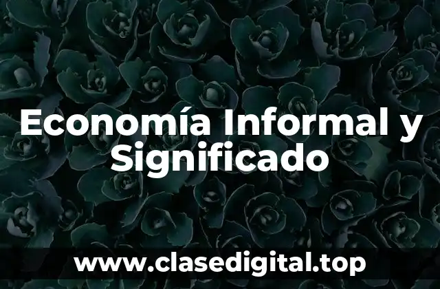 Economía Informal y Significado