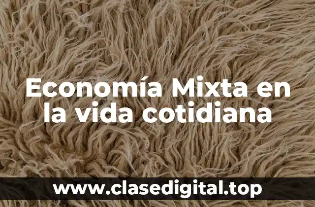 Ejemplos de Economía Mixta en la vida cotidiana